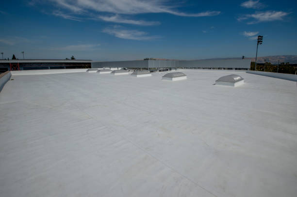 Sheet Metal Roofing in Windsor, VA